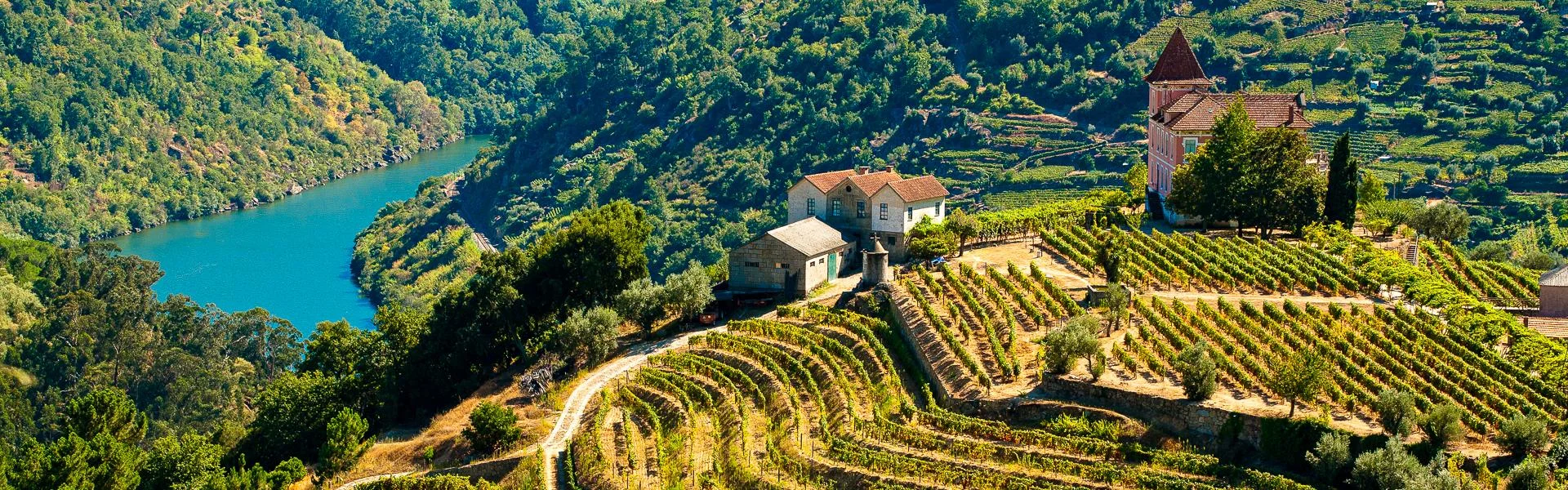 Douro-Tal Terrassenweinberge