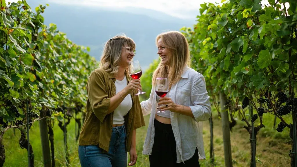 Weinberge Bündner Herrschaft im Herbst
